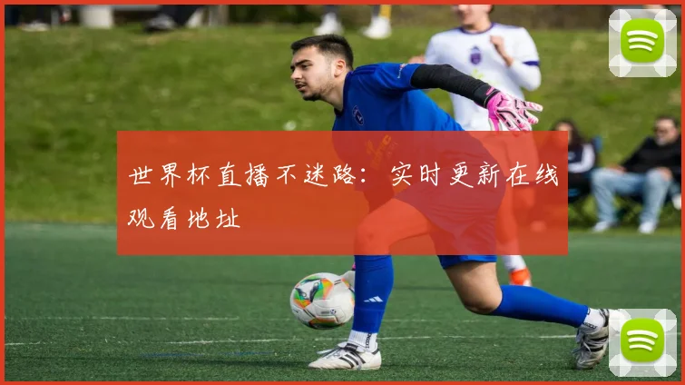 世界杯直播不迷路:实时更新在线观看地址