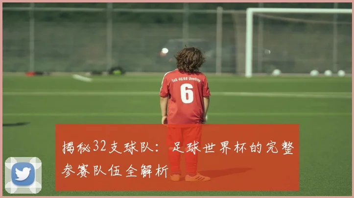 揭秘32支球队:足球世界杯的完整参赛队伍全解析
