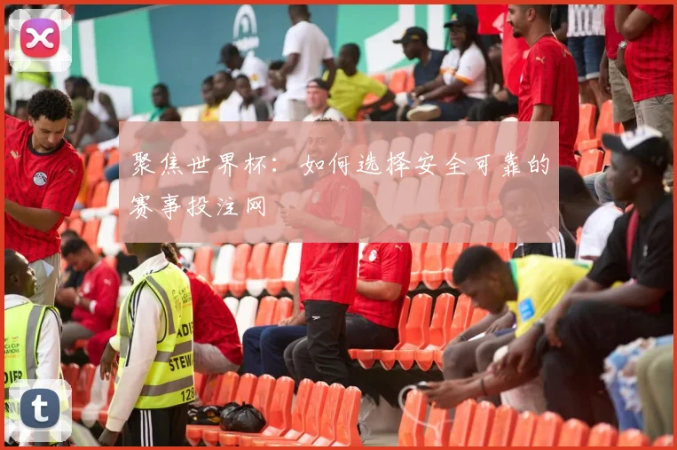 聚焦世界杯：如何选择安全可靠的赛事投注网